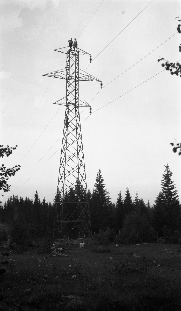 Tre uidentifiserte karer i ei høyspentmast, to helt på toppen, en midt oppe. Sansynligvis i Øverskreien, Østre Toten ca. 1922/23.