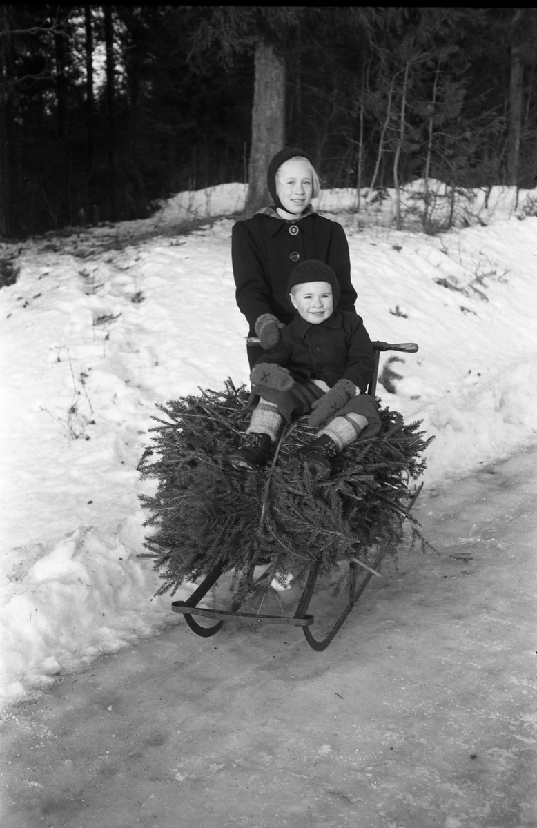 Sigrun og Kjell Røisli med et lass granbar på sparken rundt årsskiftet 1944/45. Tre bilder der bare Kjell er avbildet på de to siste.