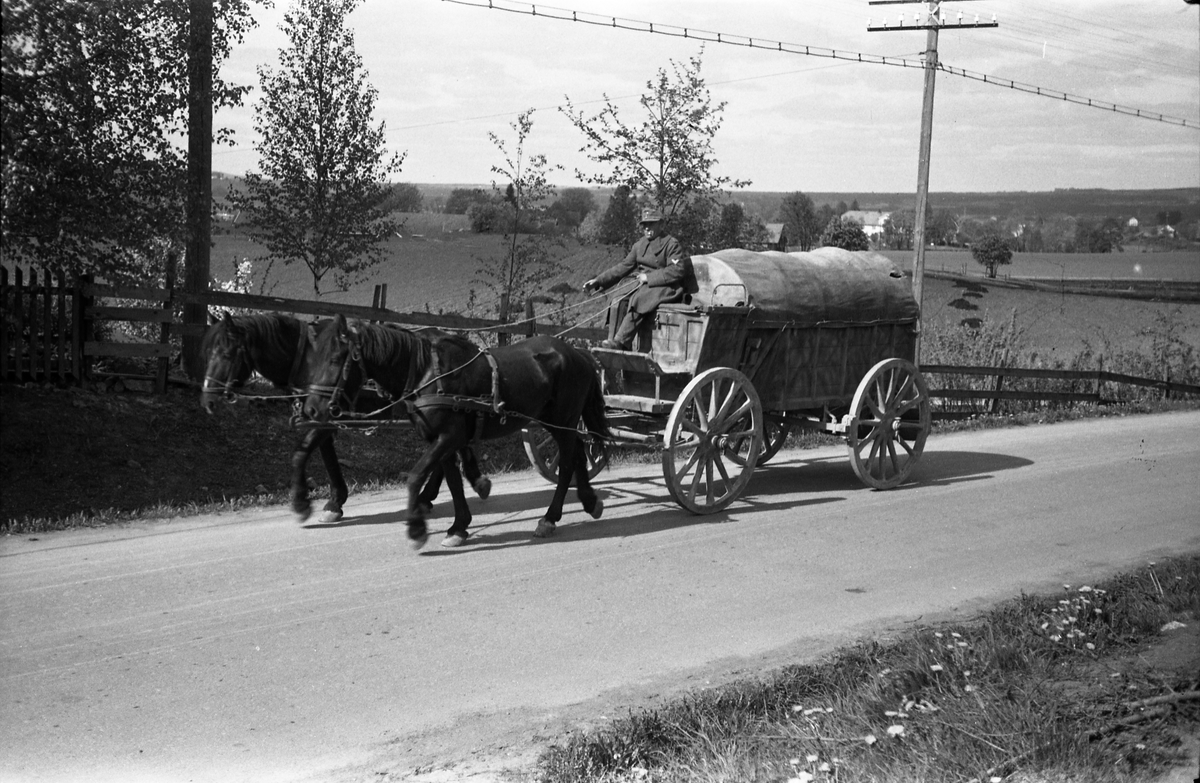 Kolonne med tyske hestekjøretøyer på nåværende F.v. 33 på Kraby i mai-dagene 1945. Kolonnen passerer forbi fotografens eiendom Odberg. Serie på 13 bilder.