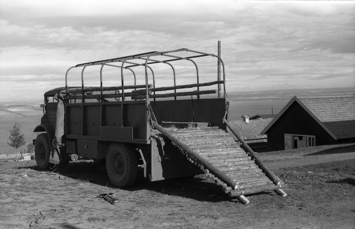 Opplasting av hester på lastebil ved Hærens Hesteskole på Starum september 1948. Serie på 24 bilder. Lengst til venstre på bilde nr. 1 står daværende sersjant Ottar Markeng.
Bildene nr. 1-4 og 17-24 er trolig fra Hoffsvangen, de øvrige fra Starum Leir.
Iflg. informant ble bilder av denne typen brukt til å lage instruksjonshefter/lærebøker til bruk for Hærens hestetjeneste. Se også TMF-4844 og TMF-4864.