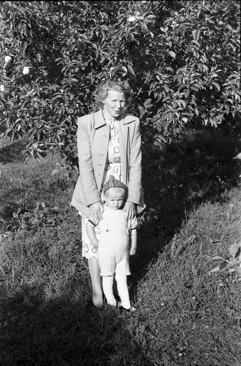 Portrett av en kvinne og en liten gutt. Antatt Ågot Lier og sønnen Knut Erik. Serie på seks bilder, to av de to sammen, de øvrige gutten alene. August/September 1949.