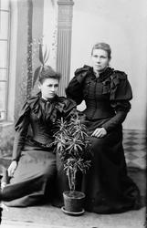 Foto av to kvinner. Trolig fra Sunndal kommune. Fra Sunndal 