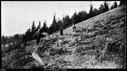 Skuronn i Toften Venabygd i Ringebu