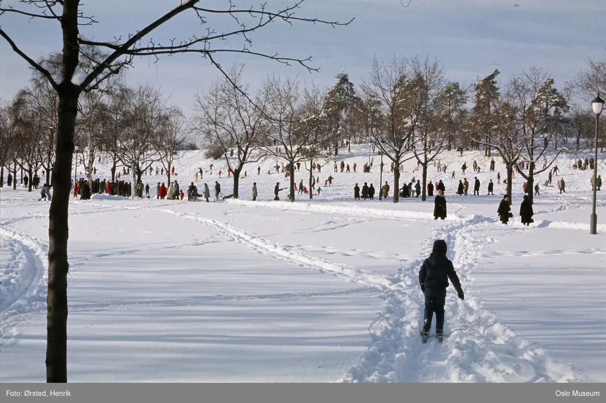 park, snø, skiløype, gutt, gangveier, mennesker, turgåere