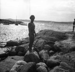 "13 (156)" .(ste181a)