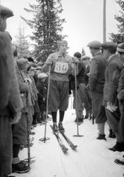 Hovedlandsrennet 1927. Gamle Lysgårdsbakken. Fra langrennet.