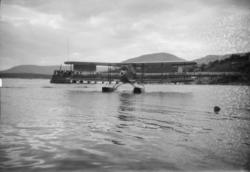 Fly på Mjøsa ved dampskipsbrygga.