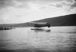 Fly på Mjøsa ved dampskipsbrygga.