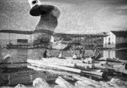 Fly på Mjøsa ved Thorstadbua. Gutter på tømmerstokker.