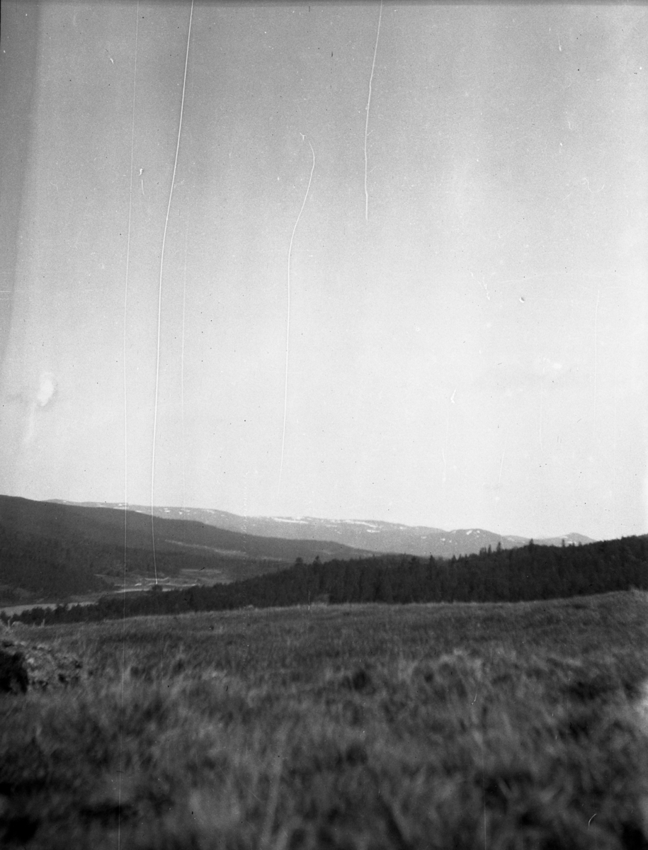 Rikard Berges fotoarkiv. Landskapsbilder og portretter Bilde nr. 10.

Fotografier tatt av Rikard Berge. 642 nummer. Samlingen består av negativer bladfilm. Motivene er ført inn i egen protokoll av Berge. Protokollen har tittel "Bilæt-emne"