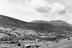 Parti fra Tylldalen. Hokstadgrenda.