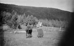 Kvinne med ku. Anna Redtrøen med heimkua og katten. Anna var