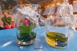 To objekter som ble brukt i forbindelse med et undervisnings