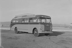 Bedford buss