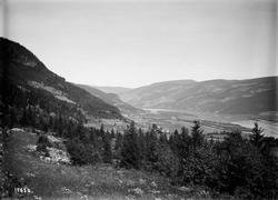 Utsigt derfra over Myhre, 29.07.1914, dal, elv, skog