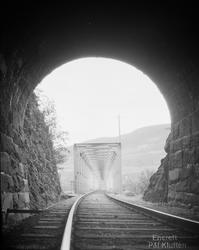 Enerett Pål Kluften