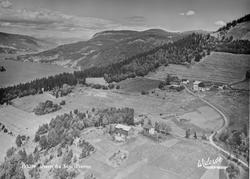 133094 Utsyn fra Mitt Tretten Widerøe