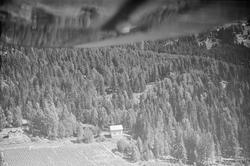 To bolighus ved vei og skog, Øyer, jordbruk, blandingsskog