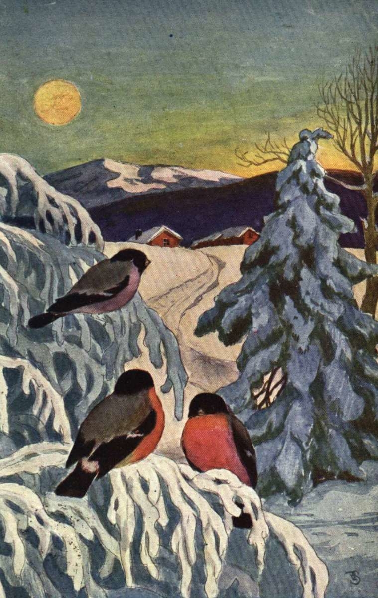 Julekort. Jule- og nyttårshilsen. Vintermotiv. Tre dompapper sitter i et snødekt tre. Bebyggelse ses i bakgrunnen. Illustrert av Paul Lillo-Stenberg (1893-1981). Datert 1927.