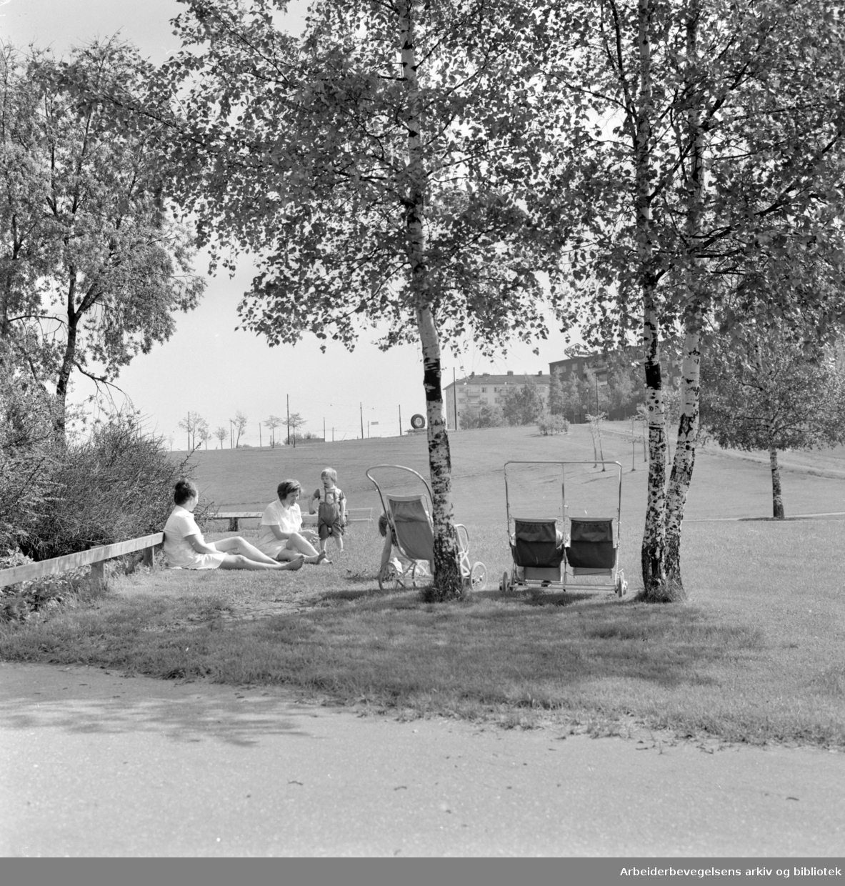 Torshovdalen park. Mai 1963