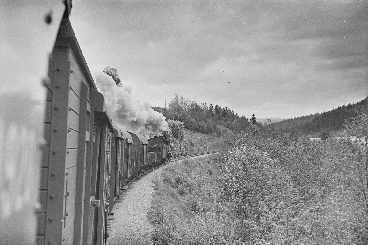 Underveisgodstog fra Trondheim til Hamar, tog 5712. Toget trekkes av damplokomotiv type 30b nr. 350.