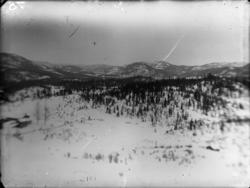 Rikard Berges fotoarkiv. Fjellandskap. Fra Øyfjell, fotograf