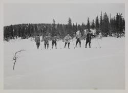 Skogskonflikten Rena i 1933