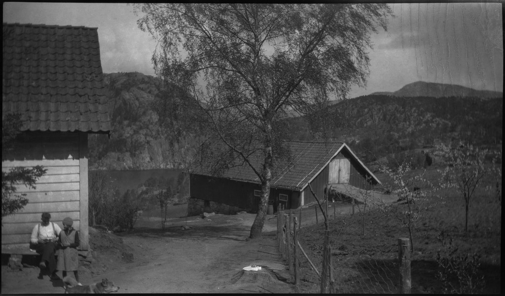 Harald Bergsaker og fotografen besøker flere små gårdsbruk og bygder i Strand kommune. Det er bilder fra landskap, bebyggelse, barn, sauer og lam. Frukttrærne står i full blomst.