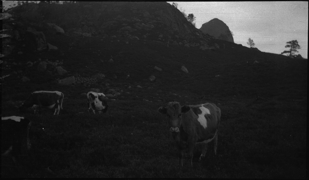 Noen gutter står ved en demning i nærheten av Jørpeland og Dalen og bilder fra et sted i nærheten av Småsilkomplekset, muligens fra Dalen. Småsilhornet og Heiahornet ruver opp i bakgrunnen.