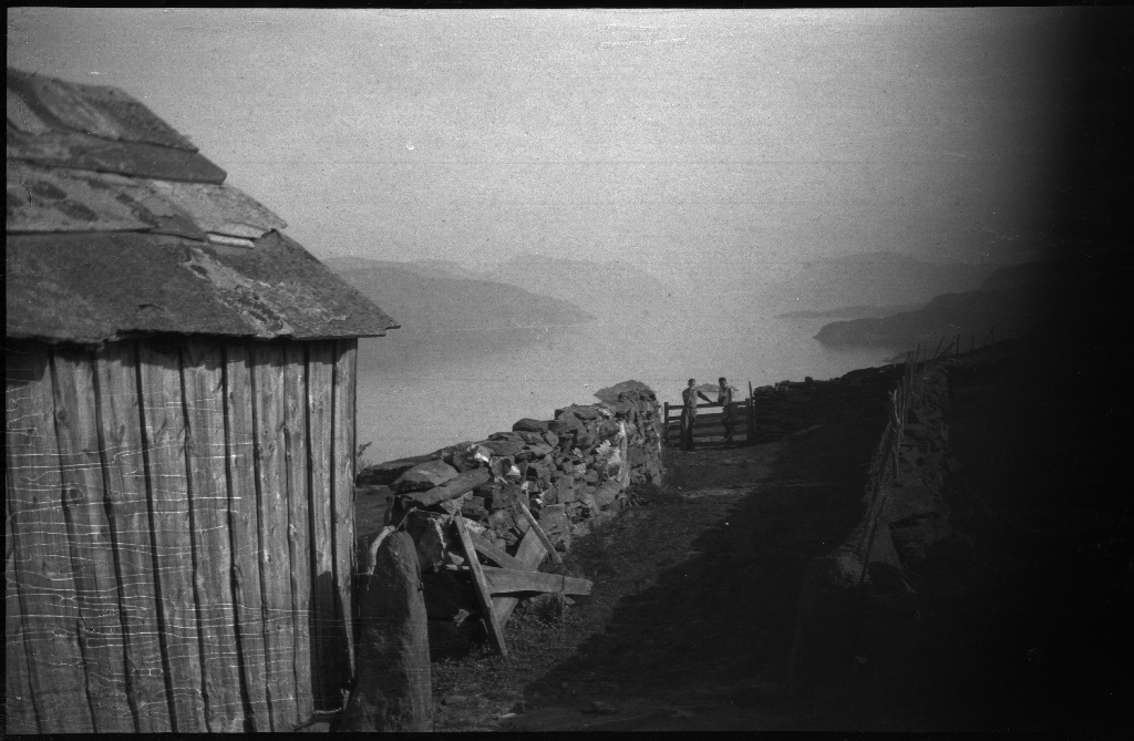 Tur på Halsnøy og Randøy med Lindtner, Arne Johannessen og en gutt til. Det er bilder av bygdene og landskapet, kyr, høns og guttene som går på småveier og sitter i en liten robåt.