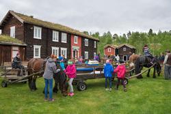Fra "Fløttdagen" på Dølmotunet 2016, Tolga, Hedmark. Musea i