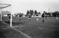 ."Molde FK, MFK, Molde fotballklubb"