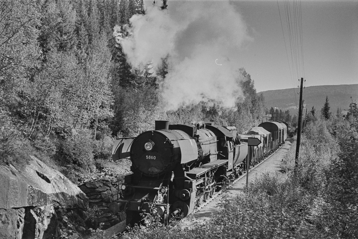 Nordgående godstog på Rørosbanen nord for Rugldalen stasjon. Toget trekkes av damplokomotiv type 63a nr. 5860.