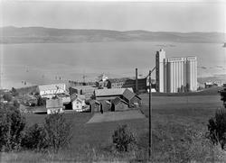 I. C. Piene & Søn i Buvika