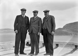 Mannsgruppe på taket av kornsiloen i Buvika