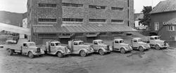I. C. Piene & Søn sine lastebiler foran mellageret i Buvika