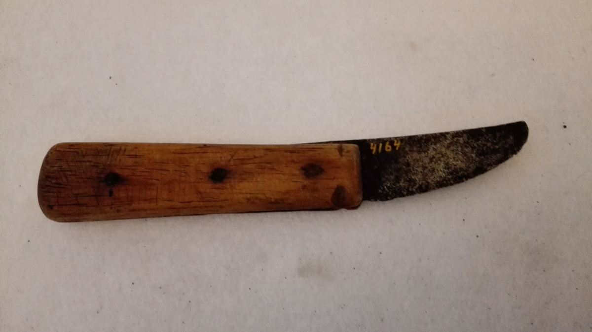 
1 bordkniv med træskaft.

En meget slidt bordkniv, hvis tange er indfældt i et av to halvdele sammensat fladt træskaft. Bladet er nu blot 5,5 cm langt.
Kjøpt av Jo Halleseter, Arnefjord.