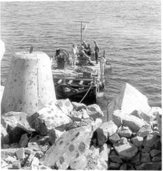 Svartoksmoloen, dykkerflåte.