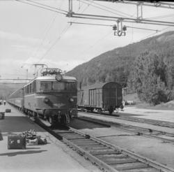 Tog fra Bergen til Oslo ankommer Nesbyen stasjon