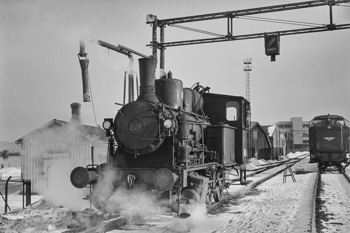Damplokomotiv type 25a nr. 227 i skiftetjeneste på Trondheim stasjon.