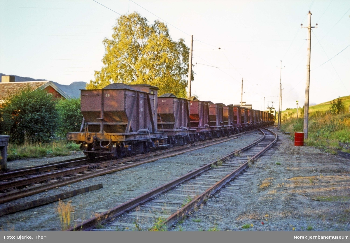 Thamshavnbanens elektriske lokomotiv nr. 1 med kistog nr. 12 passerer Orkanger stasjon