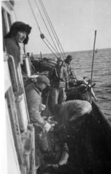 Linefiske, MK Husar på linefiske