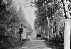 Idyll og romantikk i Presteveien, Kirkenes. Presten Mads Le 