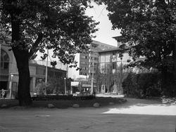 Tivolihagen fra trappen på Tivoli Teater, Chat Noir.