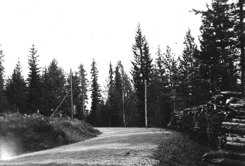 Haldia-kroken, spökstället mellan Medskogen och Bograngen, Södra Finnskoga