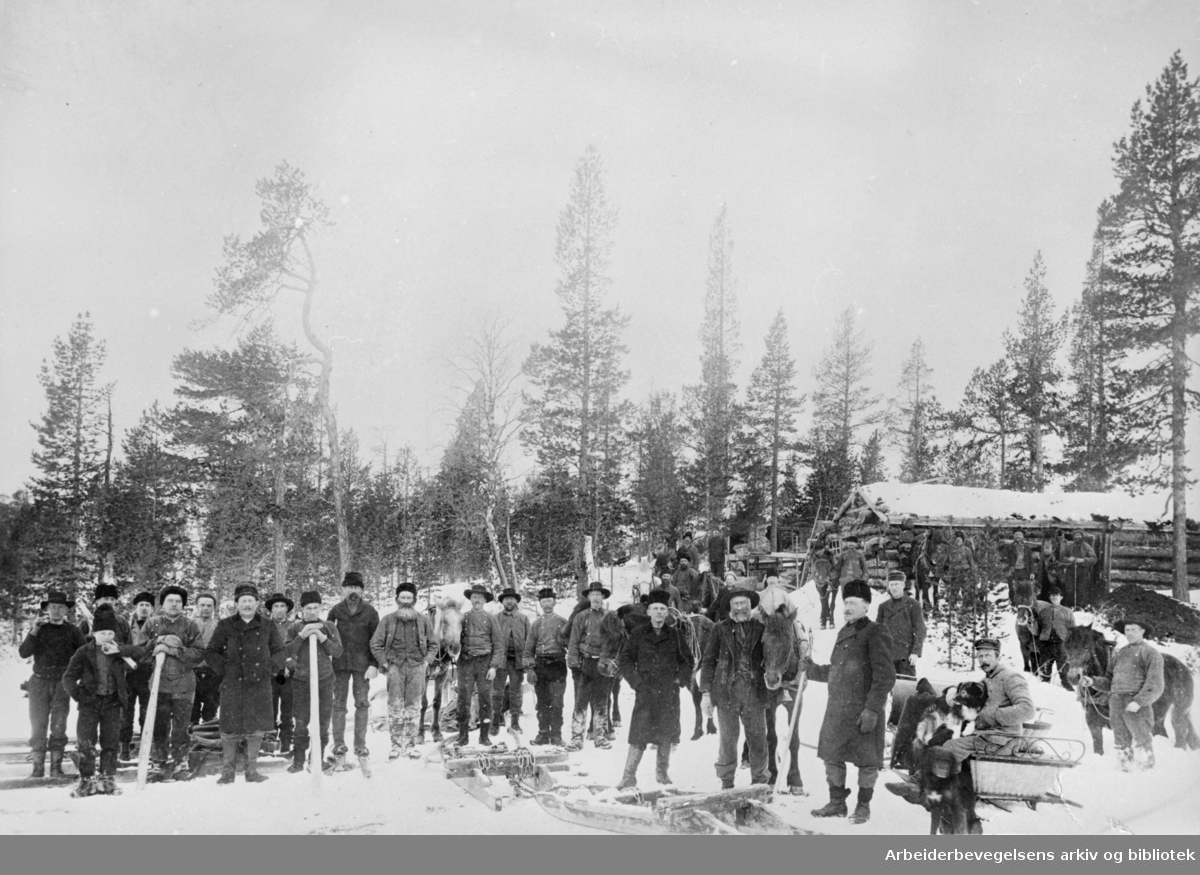 Stor tømmerdrift, øst for Femunden ca. 1900.