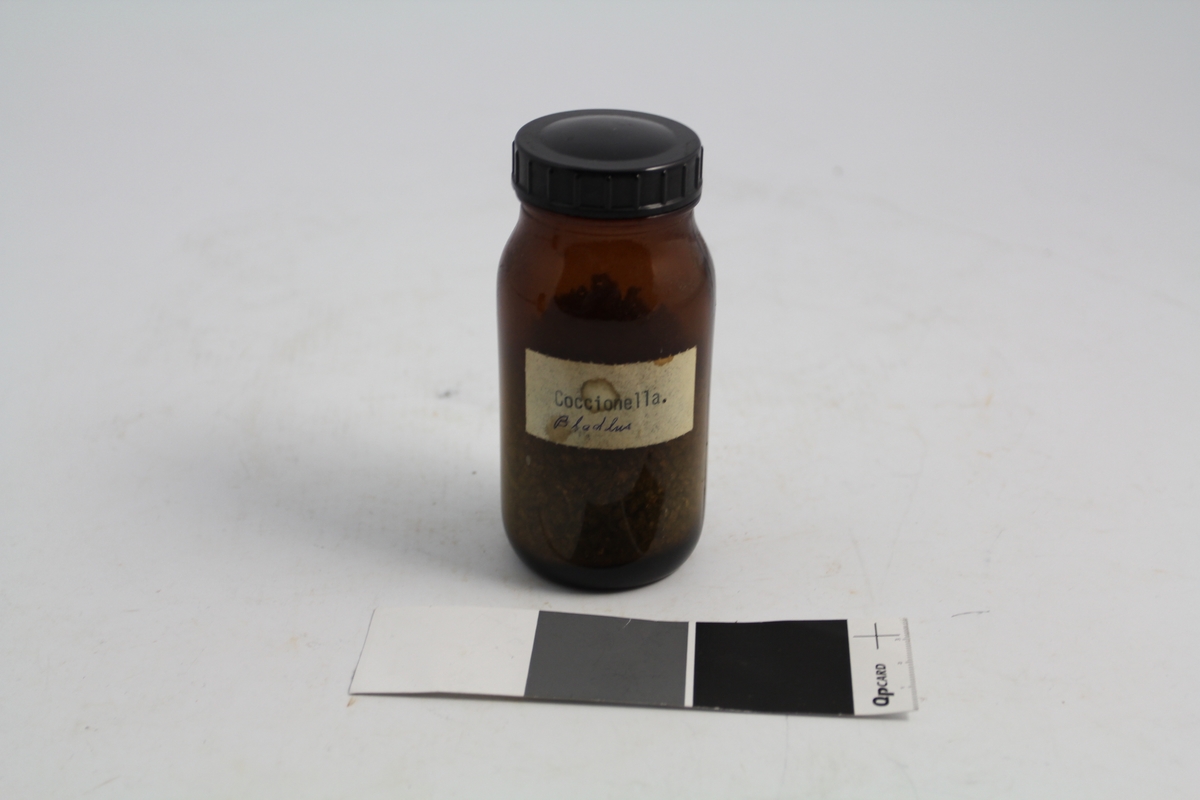 Brunt rundt medisinglass med sort bakelitt skrukork. Hvit signatur: Coccionella, som betyr kokionellalus. Glasset ble brukt til oppbevaring av kokionellalus, som ble brukt til plantefarging.