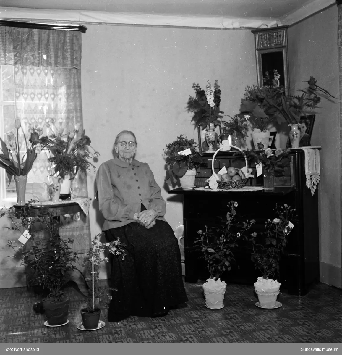 Familjebilder från en bemärkelsedag i Klingsta. Festföremålet är en gammal kvinna med efternamnet Wiklund.