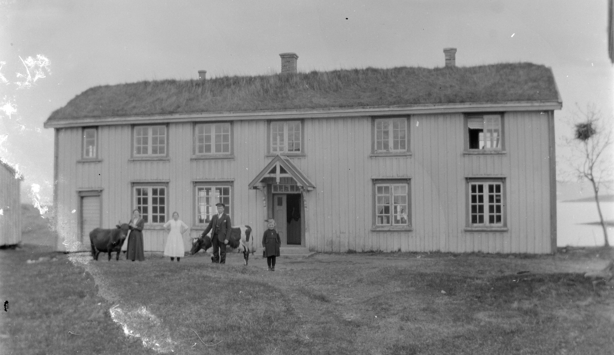 To kvinner, mann og jente med to kyr foran Snekkevik skole.