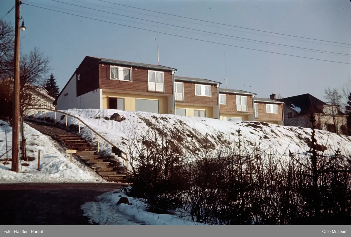 Rekkehus på Silkestrå. - Oslo Museum / DigitaltMuseum